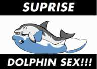 animated dolphin // 560x400 // 516.9KB // gif