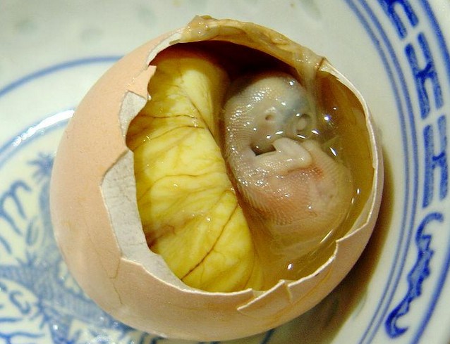 embrione crudo