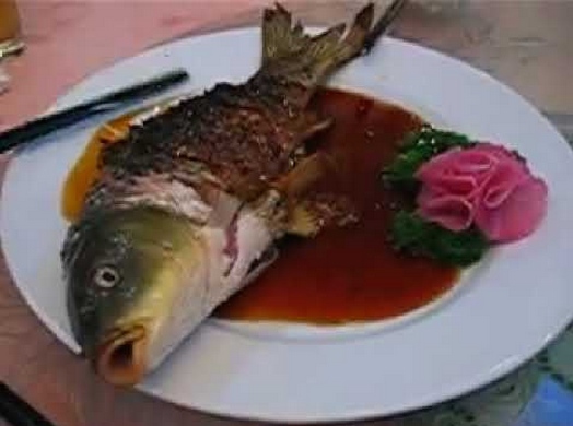 pesce mangiato vivo