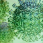 Coronavirus, aumentano i contagi: c’è il primo caso a Ravanusa – VIDEO