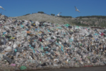 Bellolampo invasa dai rifiuti, Gelarda (Lega): “Ventimila tonnellate di rifiuti non trattati”