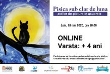 Pisica sub clar de luna