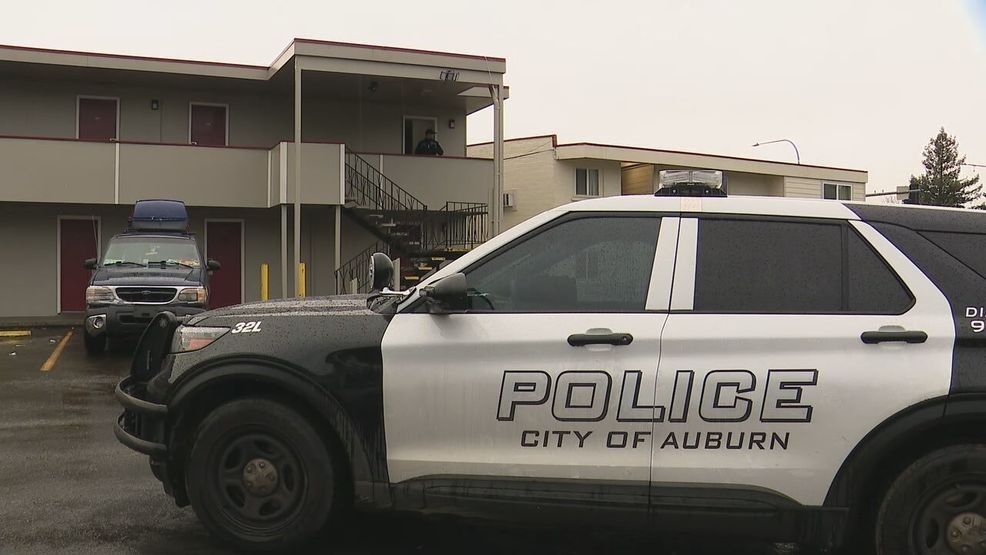 Image for gallery: Bystander shoots pit bull to stop Auburn dog attack; 2 women injured