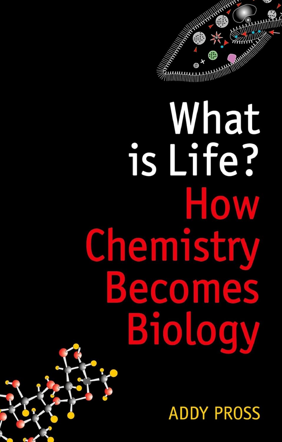 What is Life?: How Chemistry Becomes Biology (Oxford Landmark Science)